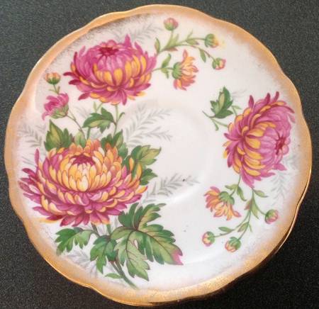 Chrysanthemum by Gladstone