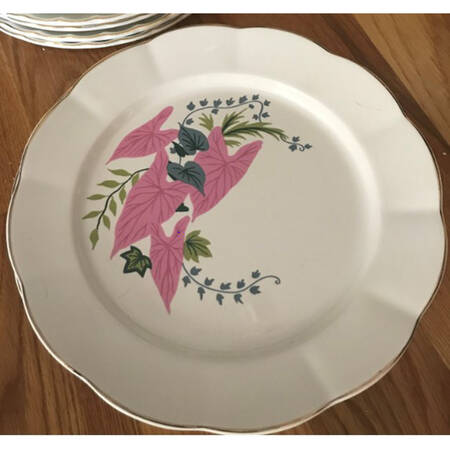 Pink Caladimus (Georgette) by WS George