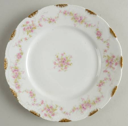 Schleiger 341D by Haviland