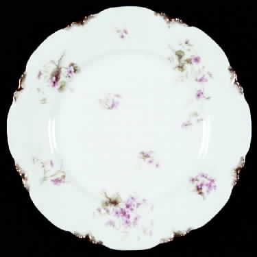Schleiger 452f by Haviland