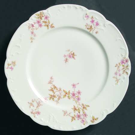 Schleiger 464 by Haviland