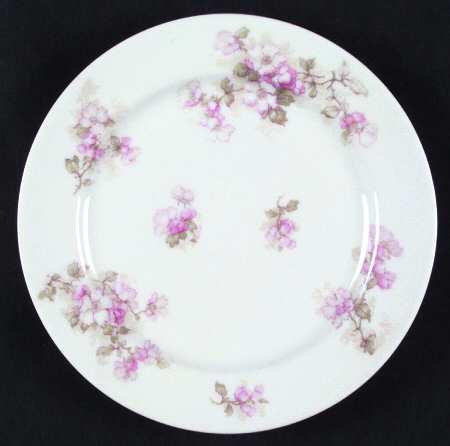 Schleiger 66b by Haviland