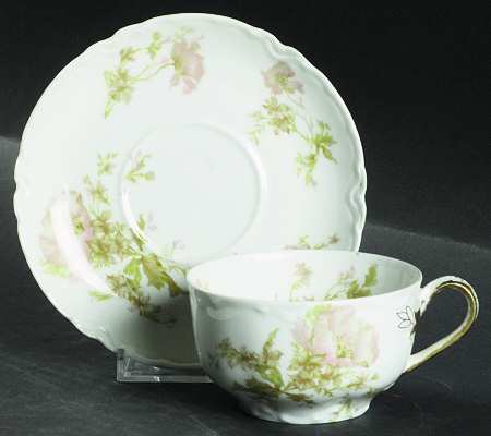 Schleiger 79e by Haviland