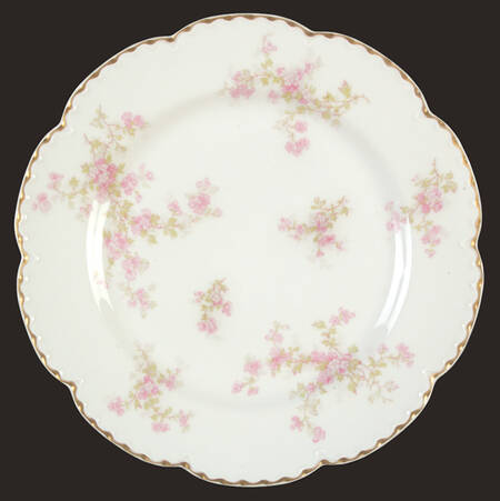 Schleiger 29Q by Haviland