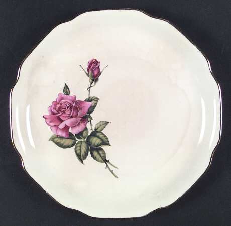 HLA2 by Holland