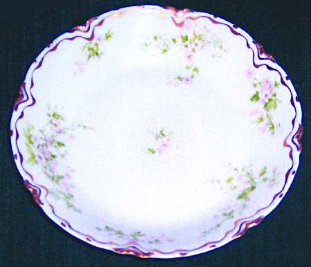 Schleiger 455j by Haviland