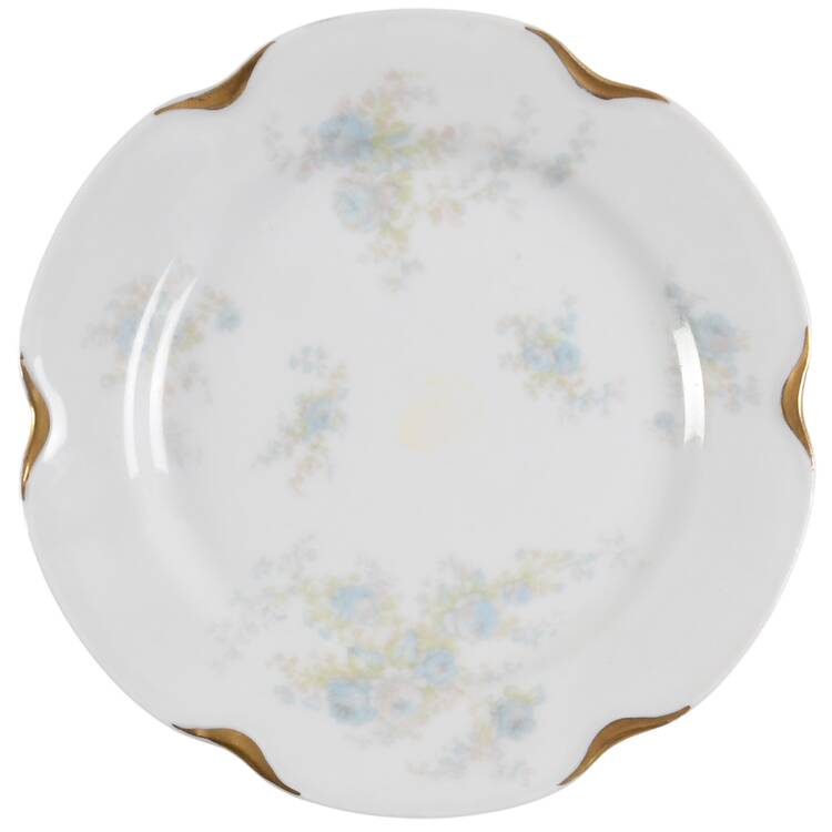 Schleiger 456B by Haviland