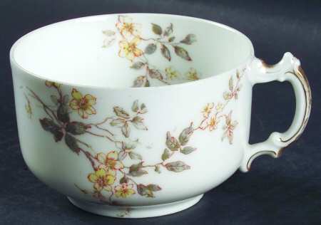 Schleiger 464h by Haviland