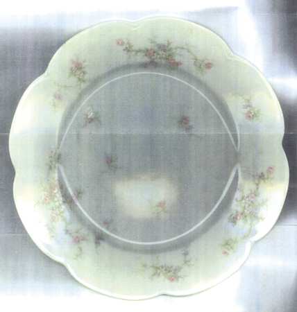 H1588 by Haviland