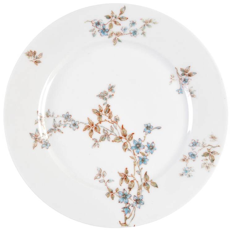 Schleiger 464-1 by Haviland
