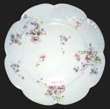 Schleiger 1237-1 by Haviland