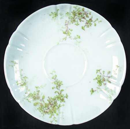 Schleiger 834-1 by Haviland