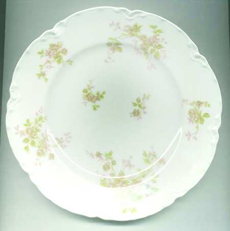 Schleiger 901-1 by Haviland