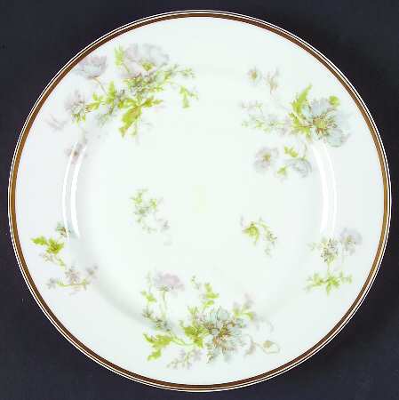 Schleiger 79-6 by Haviland