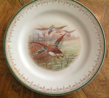 HLC2693 by Homer Laughlin 