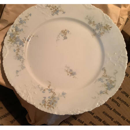 Schleiger 834-19 by Haviland