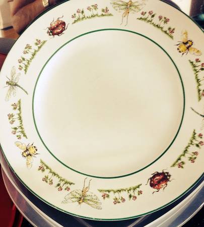 Garden Bugs by Interiors (PTS)