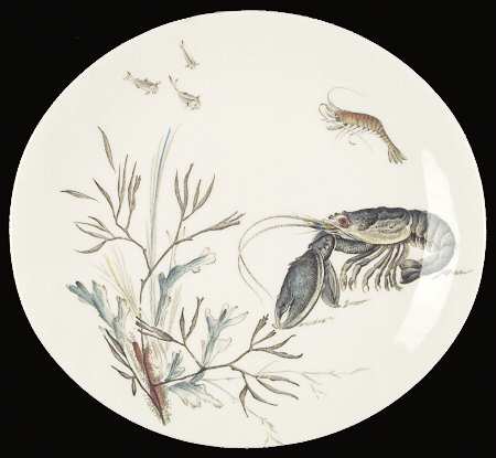FISH (CREAM) by Johnson Brothers