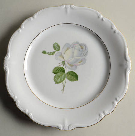 White Rose by Johann Haviland