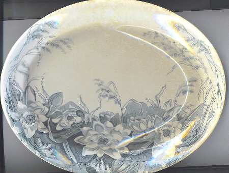 Lily by George Jones & Sons