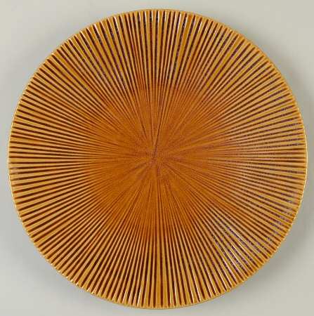 Lotus Leaf Brown by JCPenney
