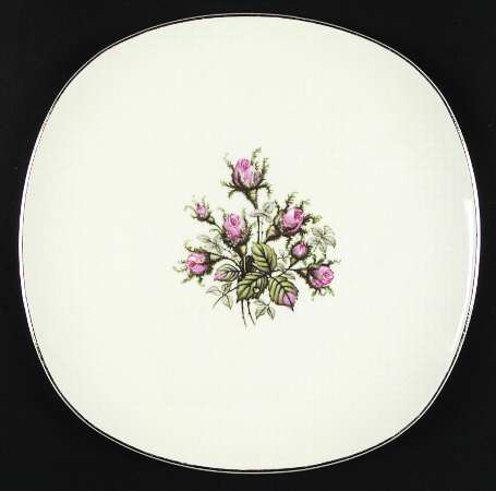 Moss Rose by Edwin Knowles