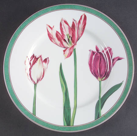 Tulipes by Laure Japy