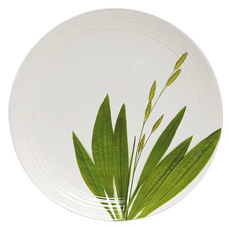 Organic Meadow by Lynn's China