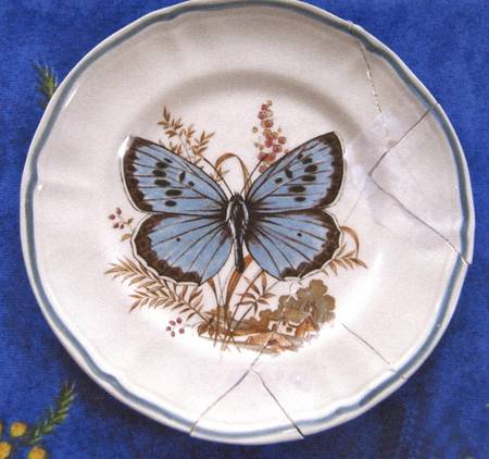 Butterfly by Longchamp
