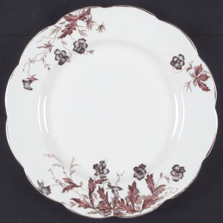 Pansy by John Maddock & Sons