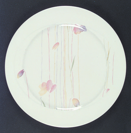 Calypso by W R Midwinter Ltd