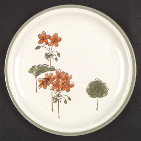California Geranium by Metlox - Poppytrail - Vernon