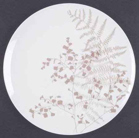 Lacy Fern Brown by Mikasa