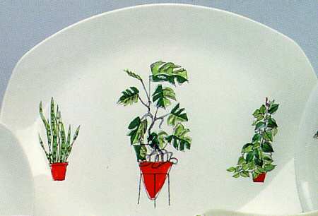 Plant Life by W R Midwinter Ltd