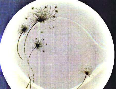 Wild Flowers by Mikasa
