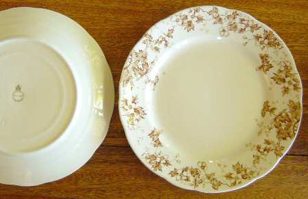 Oakland Brown (Scalloped, No Trim) by John Maddock & Sons