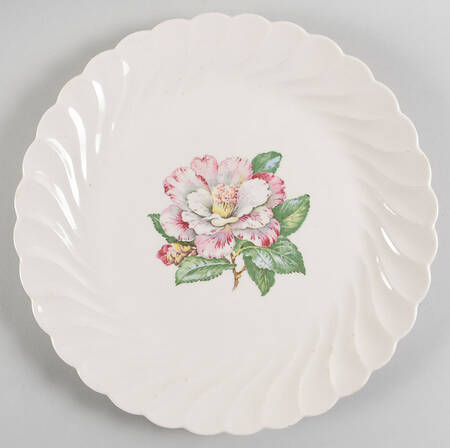 Camellia by Nasco China (USA)