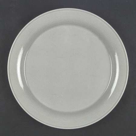Solid Color Light Grey by Nancy Calhoun