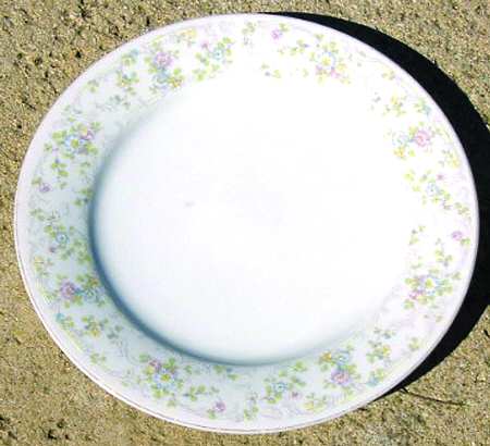 Bridal Shower by Noritake