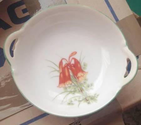 N2919 by Noritake