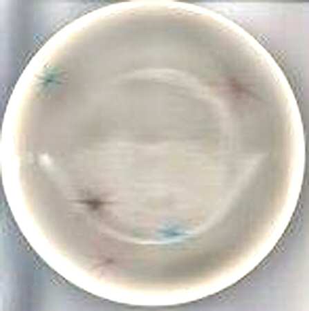 Starlite by Nasco China (USA)