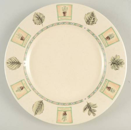Pfaltzgraff Naturewood Dinner Plate