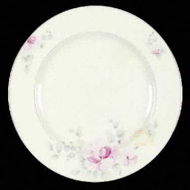 Pfaltzgraff Secrets Dinner Plate
