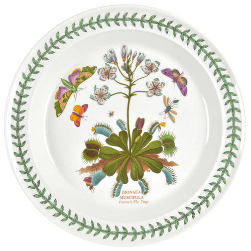 Portmeirion Botanic Garden Dinner Plate