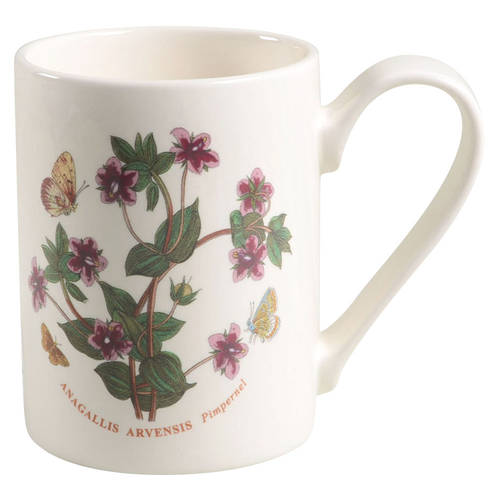 Portmeirion Botanic Garden Mug