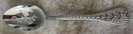 Portmeirion Botanic Garden Pierced Serving Spoon-All Stainless
