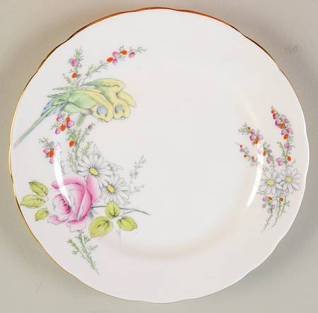 Princess Margaret Rose White by Paragon
