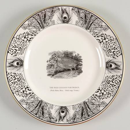 Bewick's Birds by Prinknash