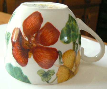 Nasturtium by Poole Pottery