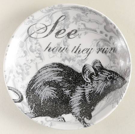 Curiosity by Pottery Barn China